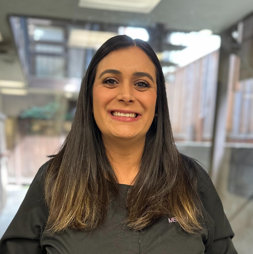 Powered by Hi Dev Mobile